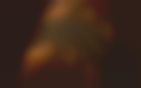 High-End Cider Collections