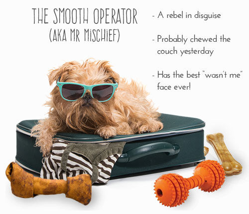Top 40 Pet Ideas in March