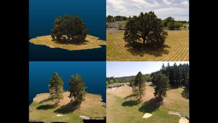 Cyber Forest Simulators