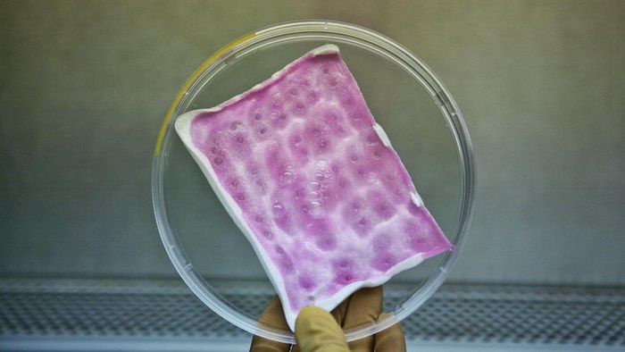 Infection-Thwarting Bandages