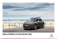 Surfing-Inspired Crossovers Image 5