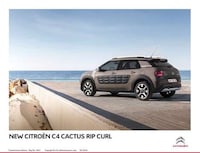 Surfing-Inspired Crossovers Image 6
