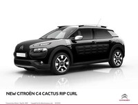 Surfing-Inspired Crossovers Image 8