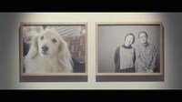 Canine Photographer Campaigns Image 3