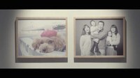 Canine Photographer Campaigns Image 4