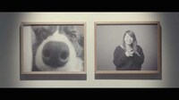 Canine Photographer Campaigns Image 5
