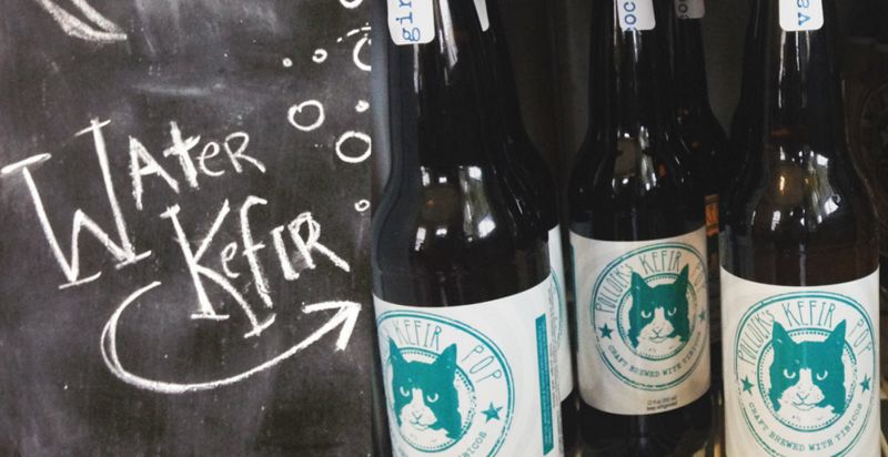 Handcrafted Probiotic Sodas