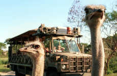 Sunset Safari Experiences