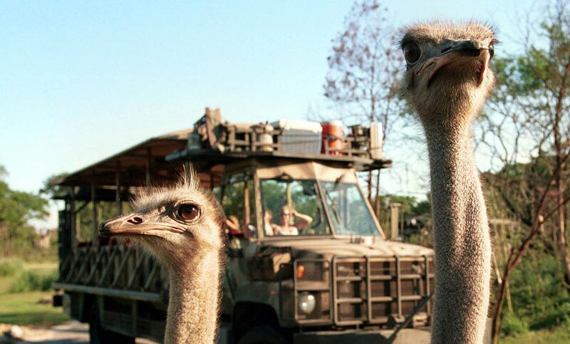 Sunset Safari Experiences