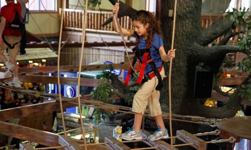 Eco Obstacle Courses