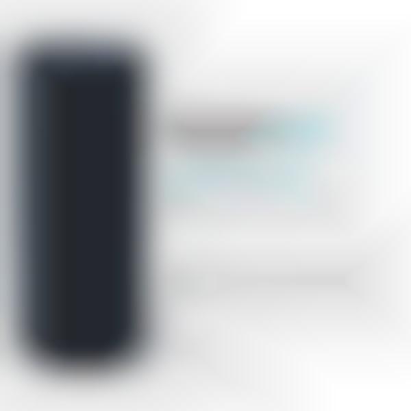 Digital Personal Assistant Speakers