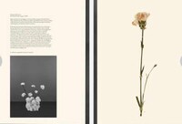 Historical Floral Arrangements Image 6