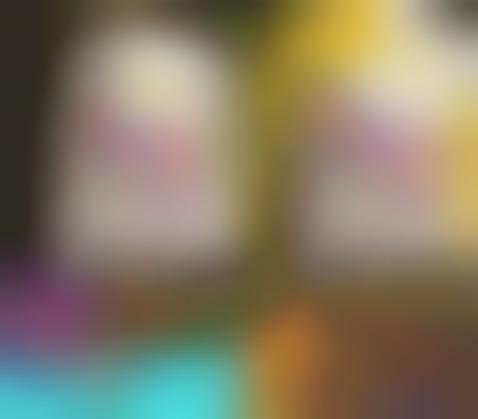 Social Fast Food Geofilters