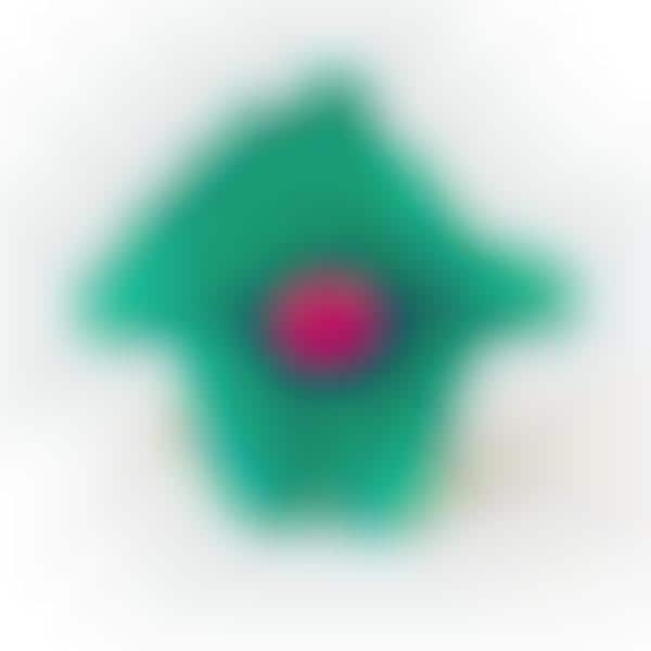 Comunicative Plush Toys