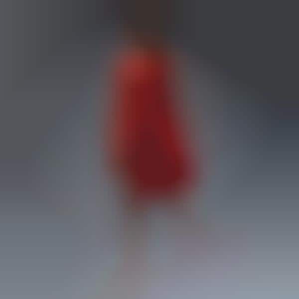 4D-Printed Nylon Dresses