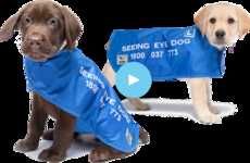 Pro-Bono Puppy Services