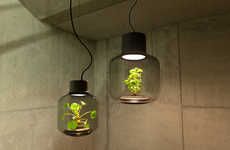 Hanging Terrarium Lamps
