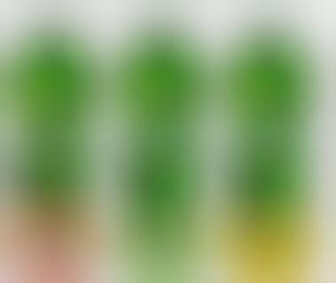 Cleansing Chlorophyll Water