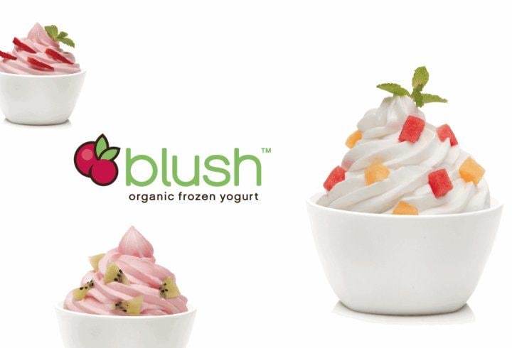 Organic Frozen Yogurt Shops