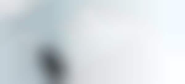Protective Mobile Insurance
