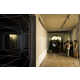 Electro-Luminated Lighting Image 2