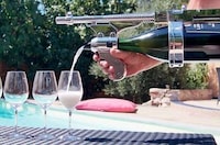 Champagne-Shooting Guns Image 2