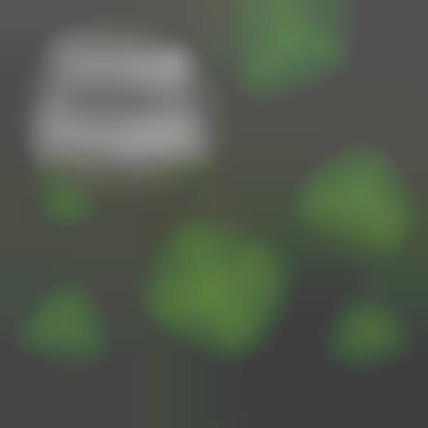 Shamrock-Colored Bagels