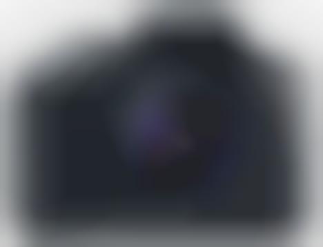 Beginner-Friendly Cameras