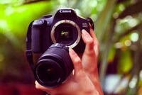 Beginner-Friendly Cameras Image 6