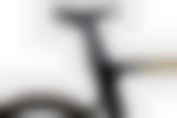 Lightweight Bamboo Bikes