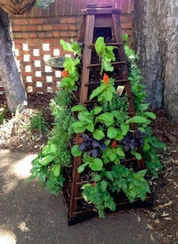 Self-Contained Vertical Gardens Image 3