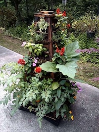Self-Contained Vertical Gardens Image 6