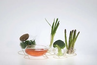 Hydrating Produce Storage Systems Image 3