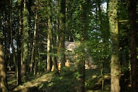 Eco-Friendly Glamping Cabins Image 3