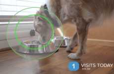 Connected Pet-Training Collars