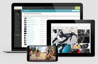Viral Video Creation Tools Image 3