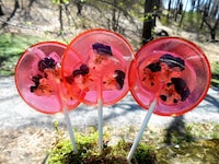 Edible Flower Lollipops Image 3