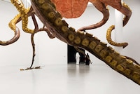 Gargantuan Marine Ceiling Sculptures Image 4