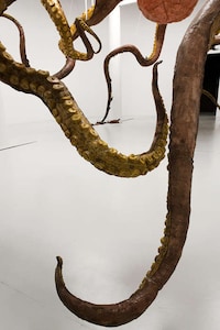 Gargantuan Marine Ceiling Sculptures Image 5