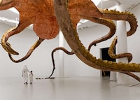 Gargantuan Marine Ceiling Sculptures Image 6