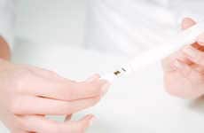 365-Degree Disc Toothbrushes