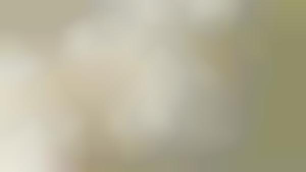 Opacity-Adjusting Smart Windows