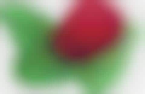 Berry-Shaped Pacifiers