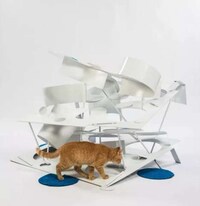Quirky Feline Shelters Image 3
