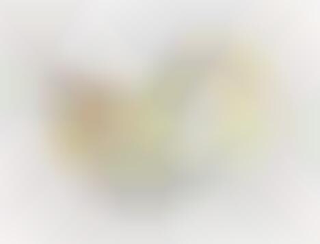 Healthy Flavored Water Bottles