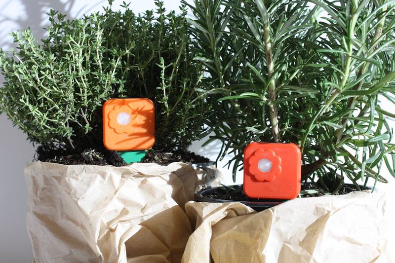 Plant-Monitoring Gadgets