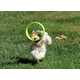 Aerodynamic Dog Toys Image 4