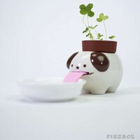 Water-Sipping Planters Image 3