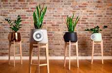 Natural Plant Air Purifiers