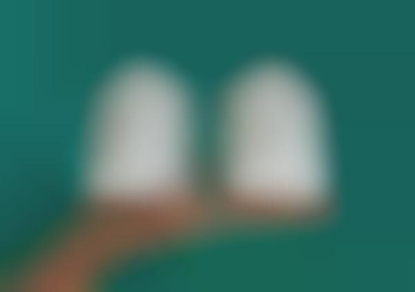 Female Sneaker Shop Kicks